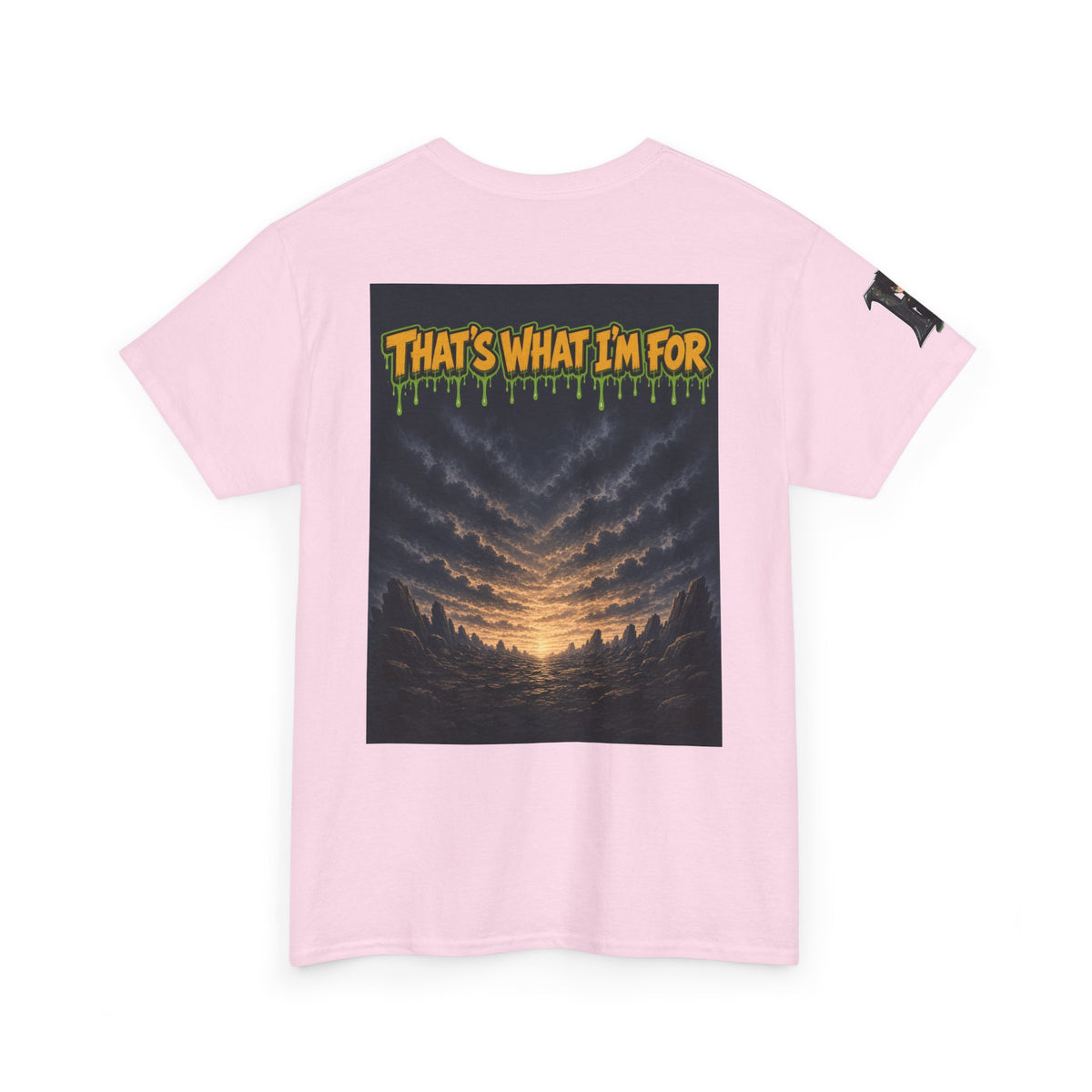 I'll Carry What You Can't — Silas Tee