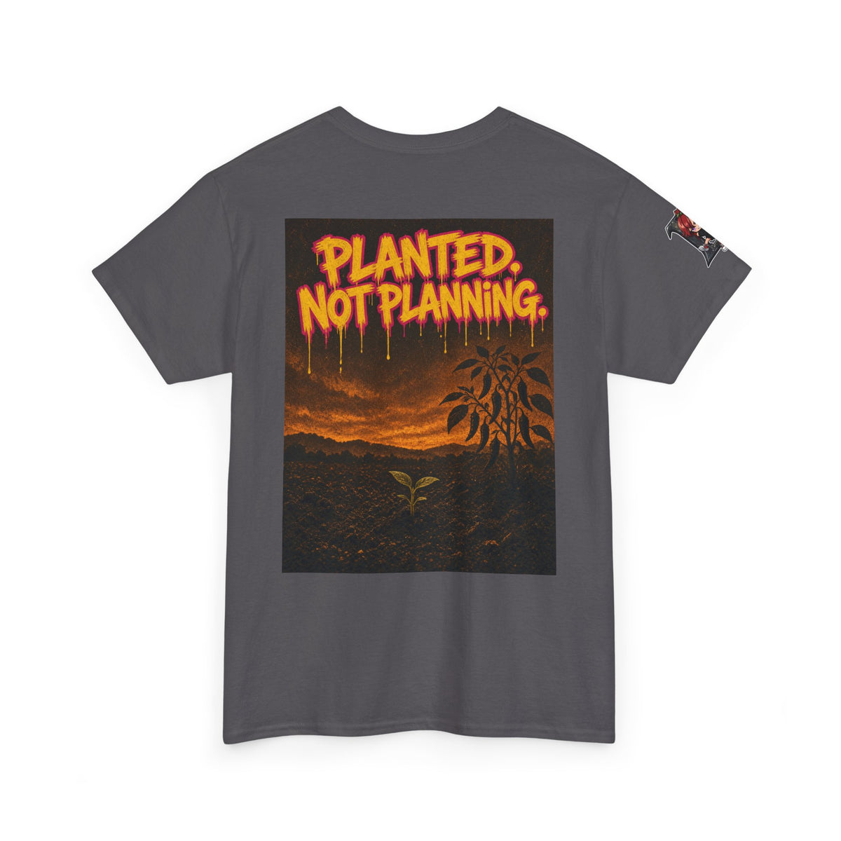 Slow Living, Loud Soul — Nova Tee