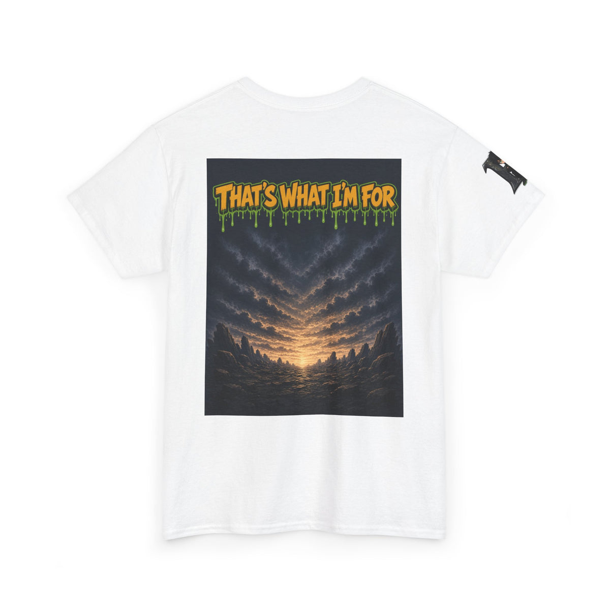 I'll Carry What You Can't — Silas Tee