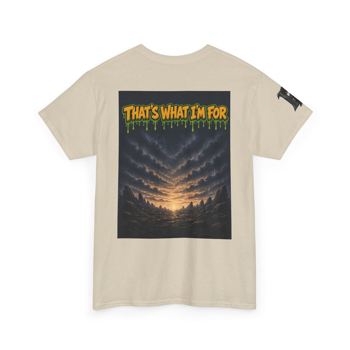 I'll Carry What You Can't — Silas Tee